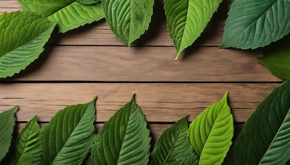 kratom benefits and promotions